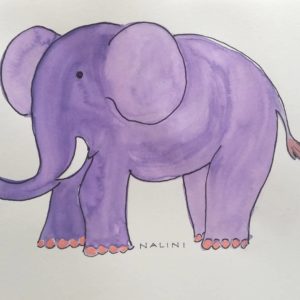 Childrens wildlife illustrations elephant Nalini Ratanje