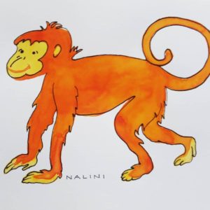 Childrens wildlife illustrations monkey Nalini Ratanje