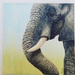 Wildlife Elephant paintings on sale Nalini Ratanje Harare Zimbabwe