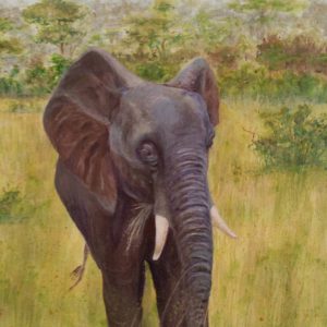 Elephant in wild painting Nalini Ratanje Harare Zimbabwe