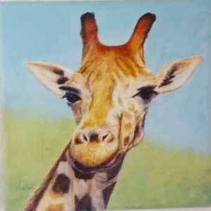 Wildlife Paintings Giraffe For Sale Nalini Ratanje Harare Zimbabwe