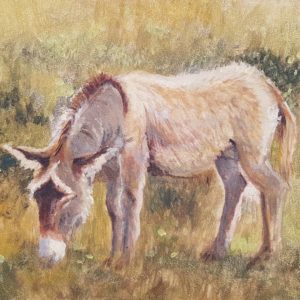 Animal Paintings Donkey Nalini Ratanje Harare Zimbabwe