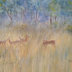 Impalas in the bush painting art Nalini Ratanje Harare Zimbabwe