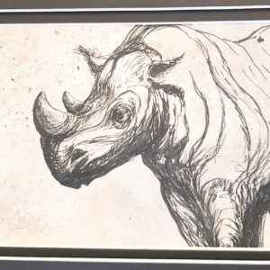 Rhino Sketch Art pen and ink on paper by Nalini Ratanje Harare Zimbabwe Africa