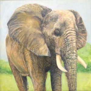 Elephant Acrylic Wildlife Paintings by Nalini Ratanje Harare Zimbabwe