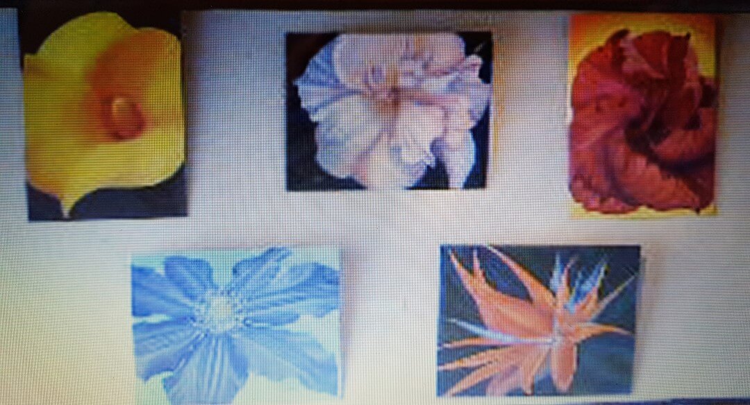 Flower paintings in a group display Naina Nalini Ratange Artist Painter Harare Zimbabwe