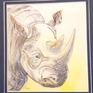 Rhino Art Work Watercolour Sketch Paintings Drawings For Sale Nalini Ratanje Harare Zimbabwe Africa