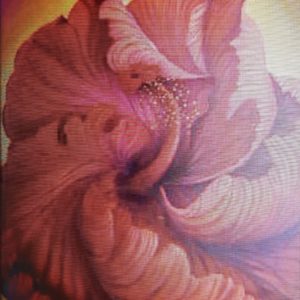 Unfurling Red Hibiscus Close Up Oil On Canvas Painting Detailed Naina Nalini Ratange Artist Painter Harare Zimbabwe
