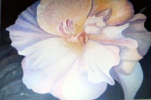 White Rose Oil On Canvas Painting Naina Nalini Ratange Artist Painter Harare Zimbabwe