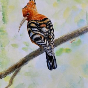 Bird Painting Piece B3 African Hoopoe